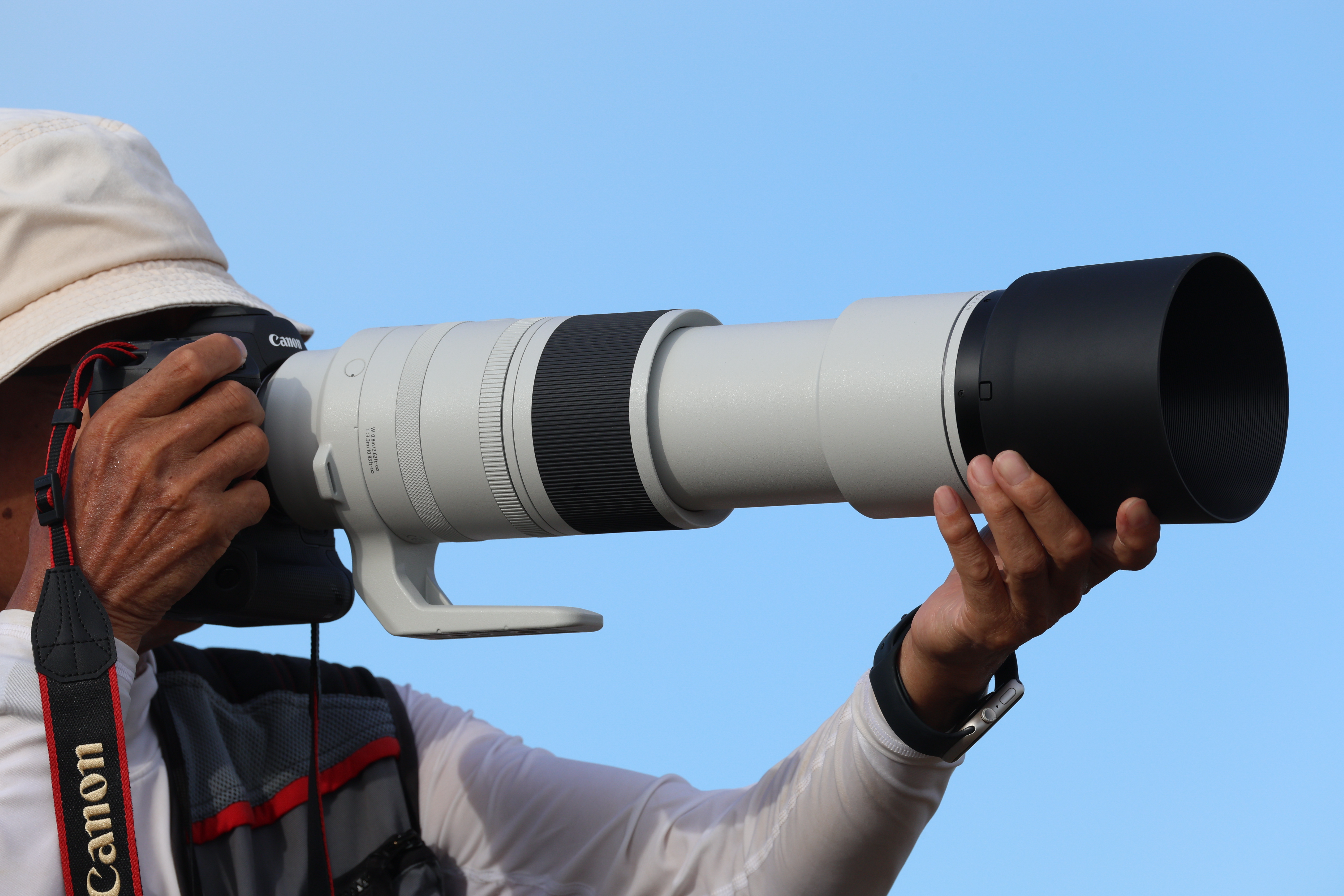 Get Closer to the Action: Step into the wild and bring the action closer with the Canon 200-800mm lens