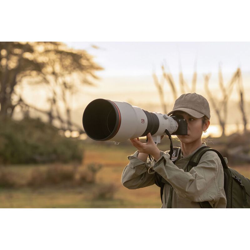 Photographer shooting wildlife with the Sony A7R VI and a telephoto lens